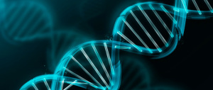 Realizzato un batterio con un Dna “potenziato”: un nuovo passo verso la vita artificiale