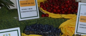 Coldiretti, vola la spesa bio e fa crescere la green economy. Ma il cibo inquinante vanta ancora molto appeal