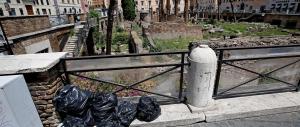Scavi di Torre Argentina “assediati” da erbacce e rifiuti. Ecco le foto dell’ultimo scandalo di Roma