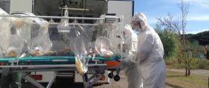 Ebola supera i 3000 morti. Vaccini sperimentali nel 2015