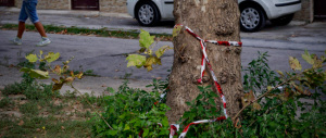 Ragazzo ucciso, non si placa la rabbia. Il parroco: «Il nostro quartiere è abbandonato dalle istituzioni»