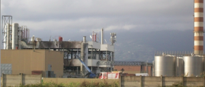 Truffa da 11 milioni di euro in Calabria: spacciavano per carburante “bioavio” liquidi di carcasse animali