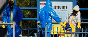 Ebola, nuovi falsi allarmi. La Ue decide di creare la figura di un “coordinatore unico” per l’emergenza