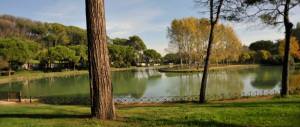 10 euro al mese per abitare a Villa Ada: la mappa dell’abusivismo a Roma