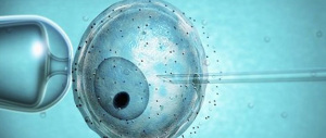Eterologa negli Usa, il donatore era schizofrenico: bambini a rischio