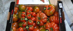 Il finto Made in Italy fa crollare i prezzi di grano e pomodori nostrani