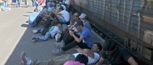 Lacrimogeni contro gli immigrati: la Macedonia usa le maniere forti (video)