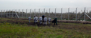 Muro anti-migranti, Orban non si ferma: anche i detenuti al lavoro