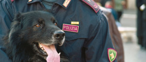 Roma: arrestati, grazie al cane Alek, sette spacciatori extracomunitari