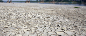 Coldiretti: è sparita la pioggia. Meno 65% di precipitazioni a giugno