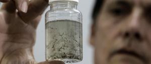 Zika, il ministro della Salute sconsiglia viaggi nelle zone colpite dal virus