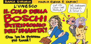 Boschi sul Vernacoliere