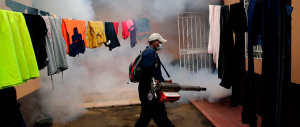 Zika, il virus arriva a Rimini: contagiato in vacanza a Santo Domingo