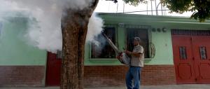 Zika, cresce la paura dopo il primo contagio in Texas per via sessuale