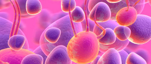 Una ricerca italiana: le cellule tumorali divengono “visibili” come pixel