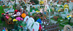 A Roma il cimitero bipartisan: dalla gallina di Mussolini al cane di Pertini