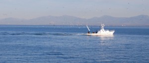 Meloni: “Blocchiamo Renzi, ha ceduto ai francesi un pezzo di mare italiano”