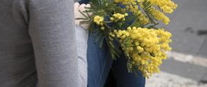 Ma quali mimose, la vera battaglia per le donne si fa contro l’utero in affitto