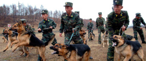 Corea del Nord, fuga di gruppo dal comunismo: in 13 disertano al Sud