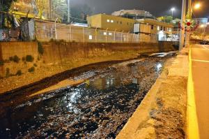 Continuano le operazioni lungo il torrente Polcevera all'altezza della foce per il contenimento della chiazza di greggio