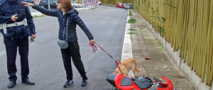 Bambino di sei anni si schianta con la mini-moto in un parco: è gravissimo