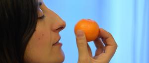 Contrordine salutisti: adesso mangiare (troppo) sano fa ammalare