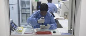 Virus Zika, l’Oms: nessun allarme, non c’è motivo per rinviare i giochi di Rio