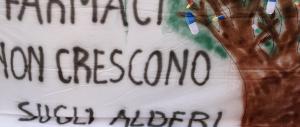 Tumori, attesa infinita per avere i nuovi farmaci: la rabbia dei pazienti