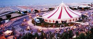 «Ha fatto morire un avvoltoio»: condannato il gestore del circo