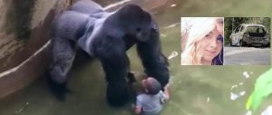 Ci indigniamo per un gorilla morto ma restiamo fermi se Sara ci chiede aiuto per strada