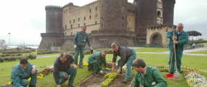 Imprese d’artigianato e crisi: è boom di giardinieri e flessione nell’edilizia