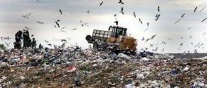 Raccolta rifiuti in Puglia, per la Dda appalti e proroghe sospette