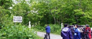 Bambino abbandonato nel bosco in Giappone: genitori non incriminati