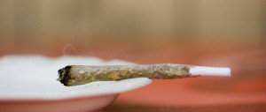 Cannabis, no pasaran. Fratelli d’Italia: messaggio devastante per i giovani