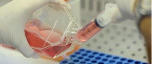 Lotta al cancro, la medicina sperimenta la cura personalizzata