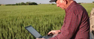 Senza internet 2 fattorie su 5? Niente paura: arriva l’“Agriweb advisor”