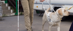 Hotel di Rimini respinge una cliente cieca con cane guida: è polemica