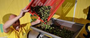 Olio extravergine, salviamo quello italiano: in 10.000 in piazza a Firenze