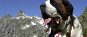 La montagna fa altri morti: precipitati due escursionisti in val di Susa
