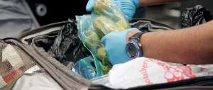 Bimba peruviana viaggia con due chili di cocaina: fermata a Malpensa