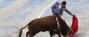 La furia animalista contro un bimbo malato di cancro: ti piace la corrida, muori