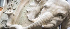 Roma sfregiata, rotta una zanna dell’Elefante del Bernini al Pantheon