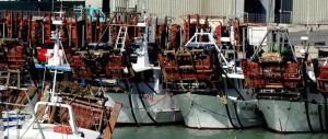 Egitto, sequestrati due pescherecci italiani di Mazara del Vallo