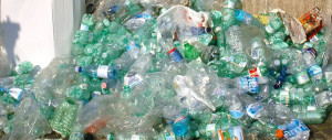 Treviso, tassa della spazzatura pagata a chi ricicla più bottiglie di plastica