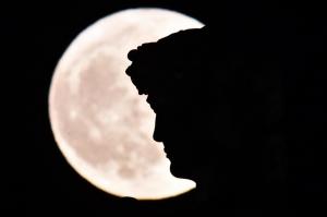 Il profilo del David a Firenze