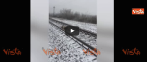 Il cane protegge la compagna ferita sui binari: ecco il video che commuove il web