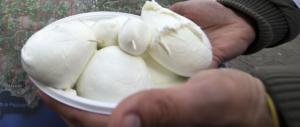 Come la Ue ci impoverisce: per i russi mozzarelle siberiane anziché campane