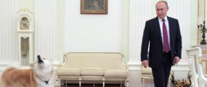 Putin fa gli auguri a Gentiloni ma soprattutto presenta il suo cane…
