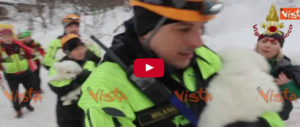 Quei 3 cuccioli scodinzolanti che per qualche istante riscaldano i cuori… (video)