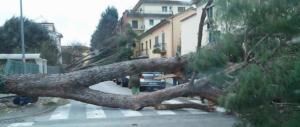 Maltempo, Cagliari stravolta dal vento: mareggiate e alberi abbattuti in strada